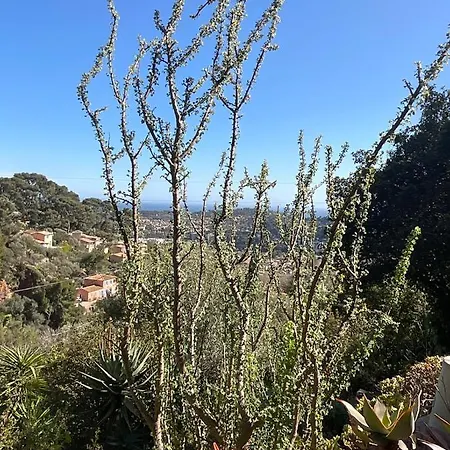Maison Independante Vue Mer Au Coeur De La Nature Toulon Extérieur photo