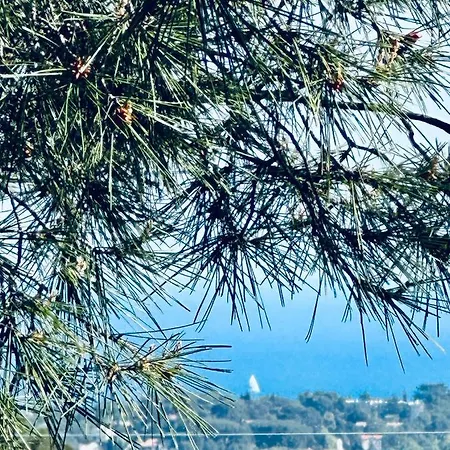Maison Independante Vue Mer Au Coeur De La Nature Toulon Extérieur photo