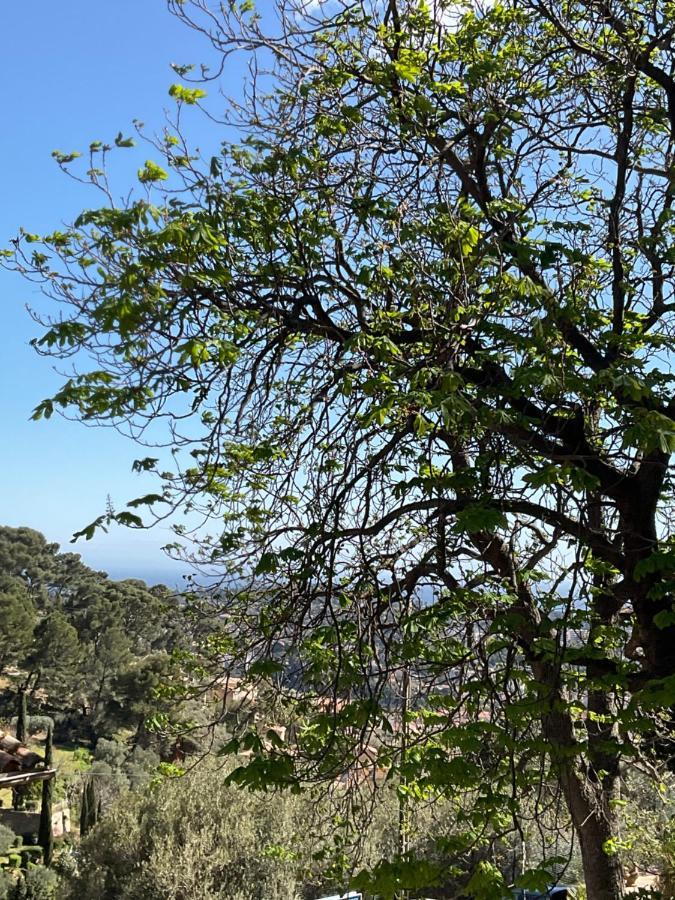 Maison Independante Vue Au Coeur De La Nature Hébergement de vacances